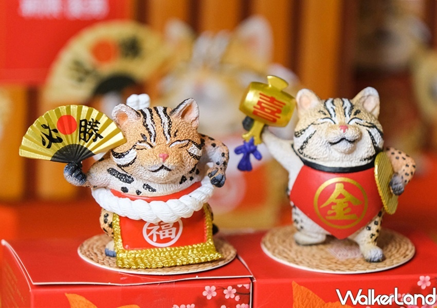 印象のデザイン Jammy Global婕米環球| Global Jammy その他